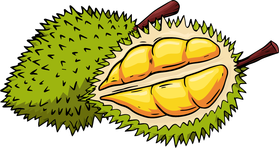 durian fruit icons colored classic handdrawn sketch