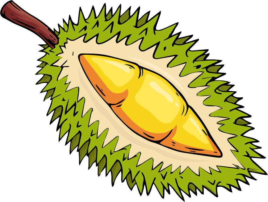 durian fruit icons colored classic handdrawn sketch