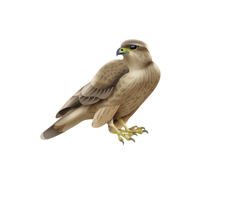 eagle birds frame with colourful images realistic birds with various species surrounding
