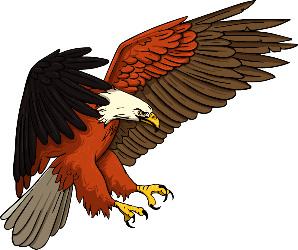 eagle eagle icons flying perching gesture sketch