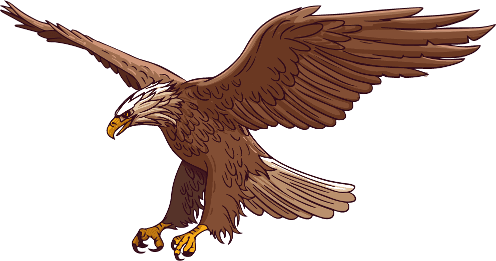 eagle eagle icons flying perching gesture sketch