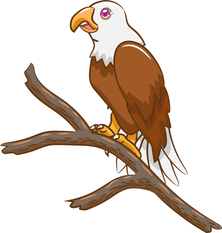 eagle parrot species icons colorful sketch