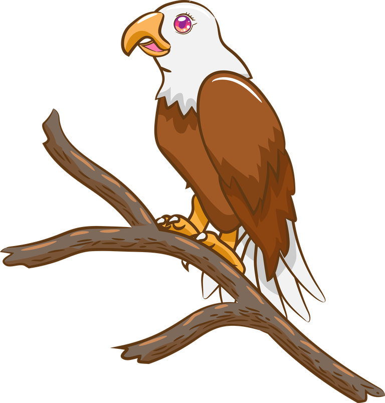 eagle parrot species icons colorful sketch