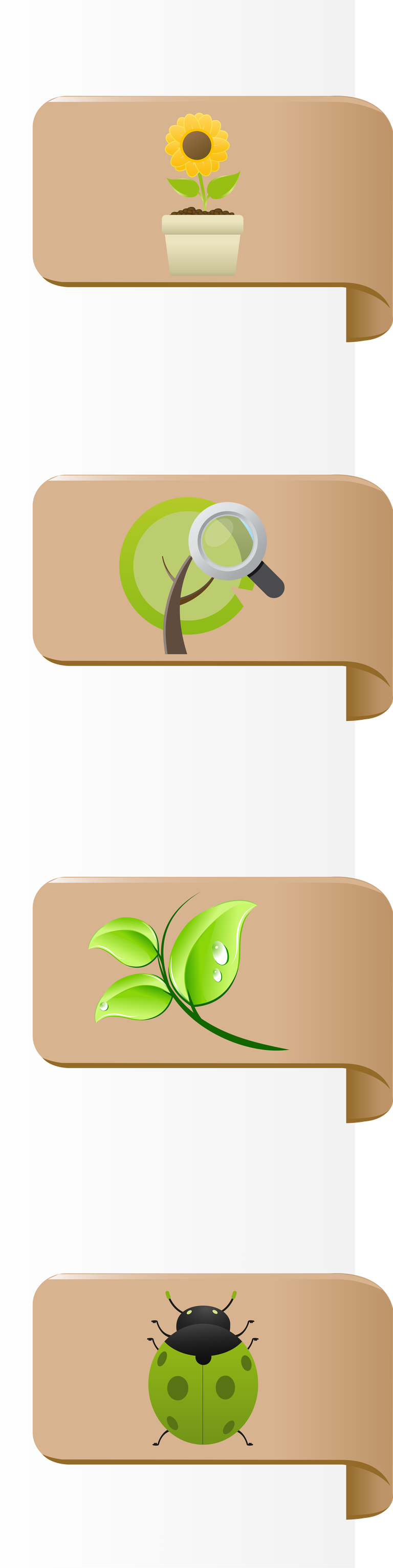 eco bio label and badge