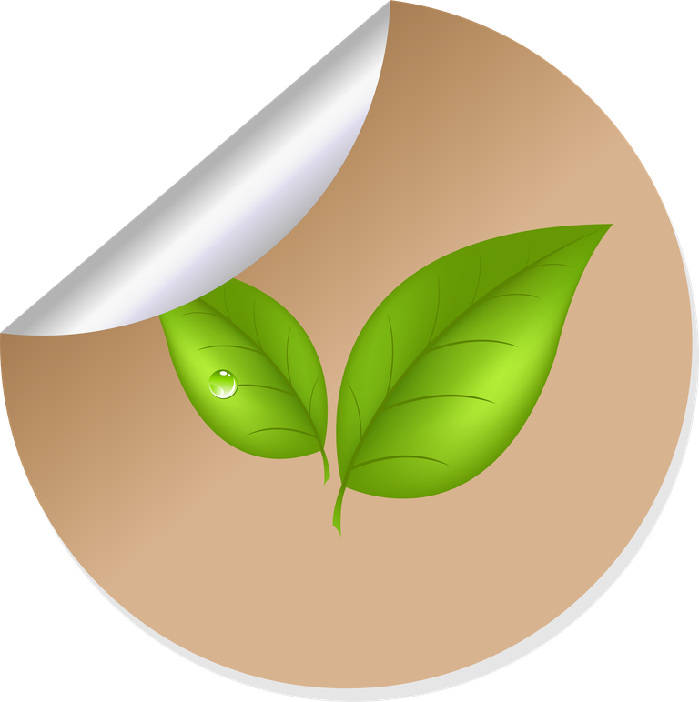 eco bio label and badge for sustainable products with fresh green leaves