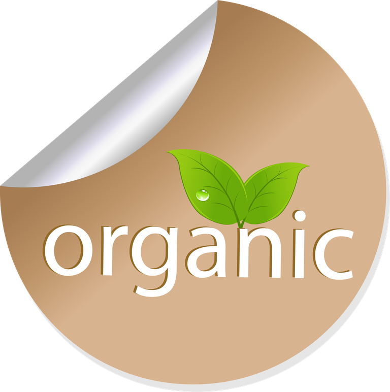 eco bio label and badge for organic products with green leaves and a stylish look