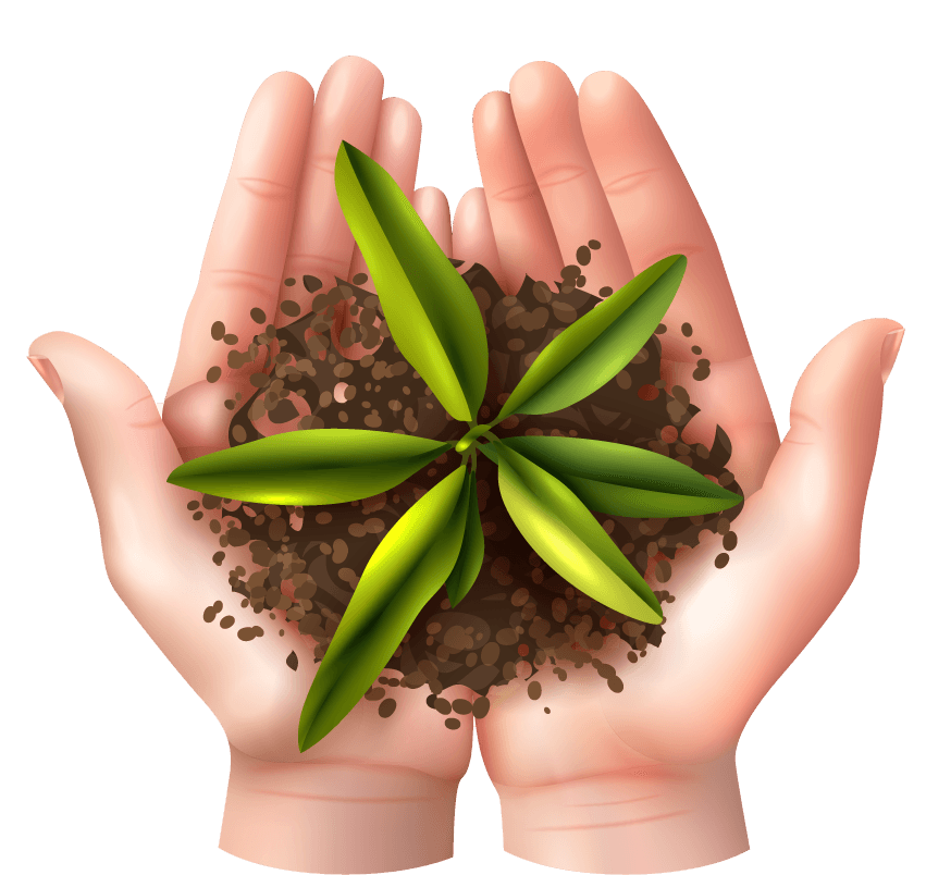 ecology symbols with realistic hands showcasing plant growth and environmental care