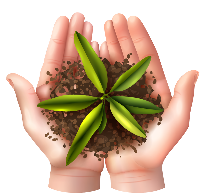 ecology symbols with realistic hands showcasing plant growth and environmental care