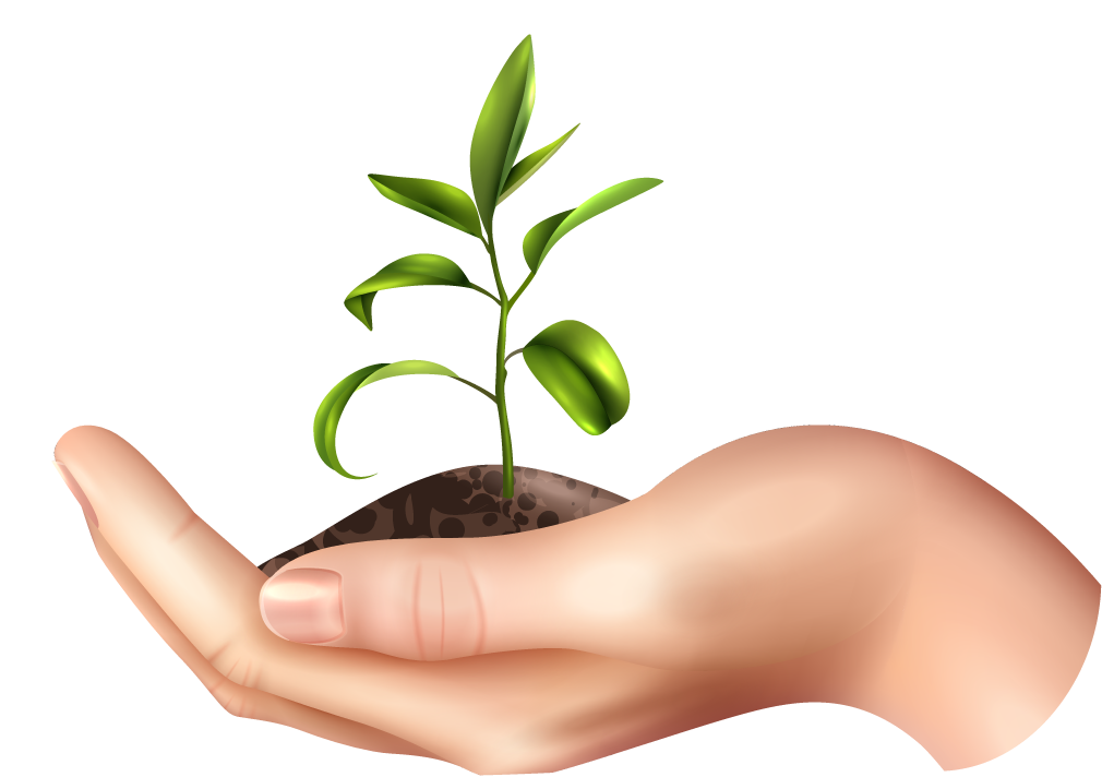 ecology symbols with realistic hands holding a small plant for environmental awareness