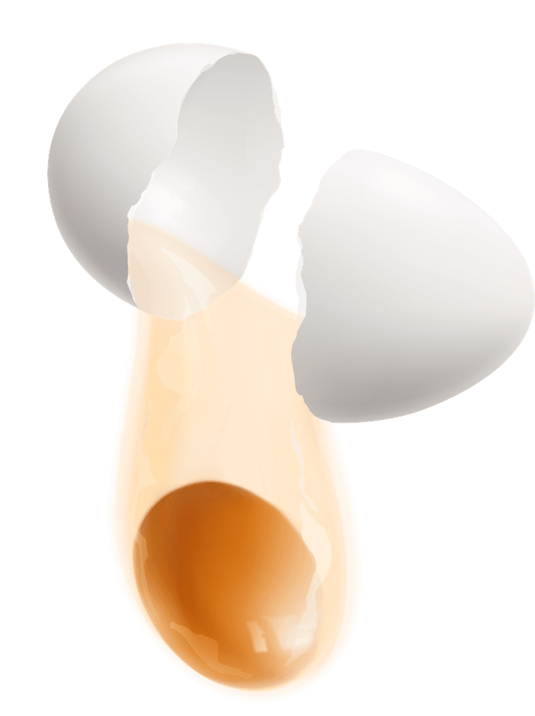 egg colored isolated realistic hen eggs illustrations set with different cooking methods