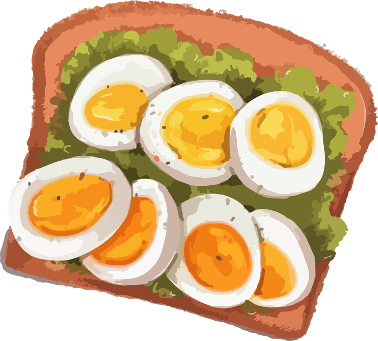 egg sandwich food art vector