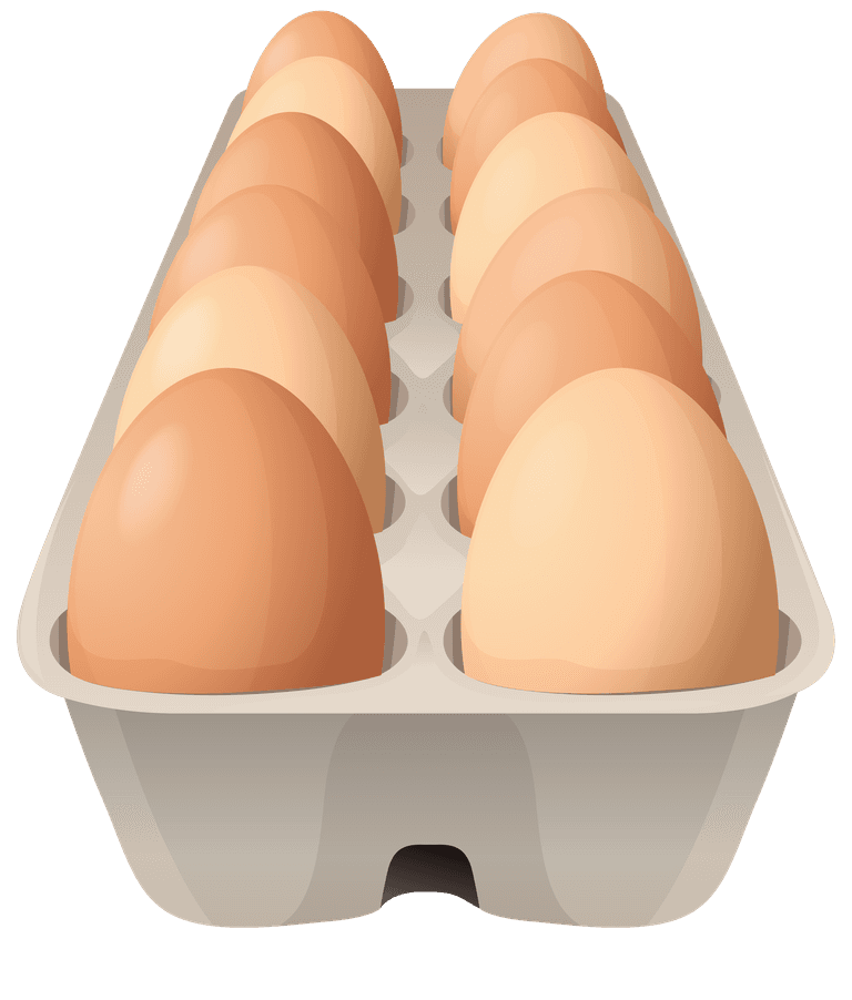 egg tray chicken different types chicken products
