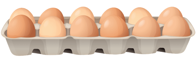 egg tray chicken different types chicken products