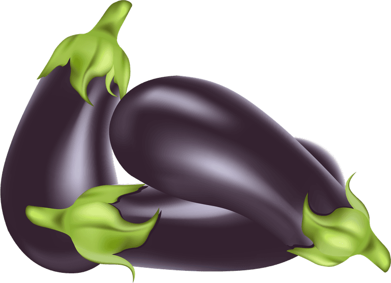 eggplant realistic vegetables vector