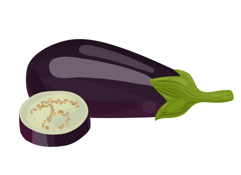 eggplant vegetables herbs collection for culinary dishes and healthy lifestyle