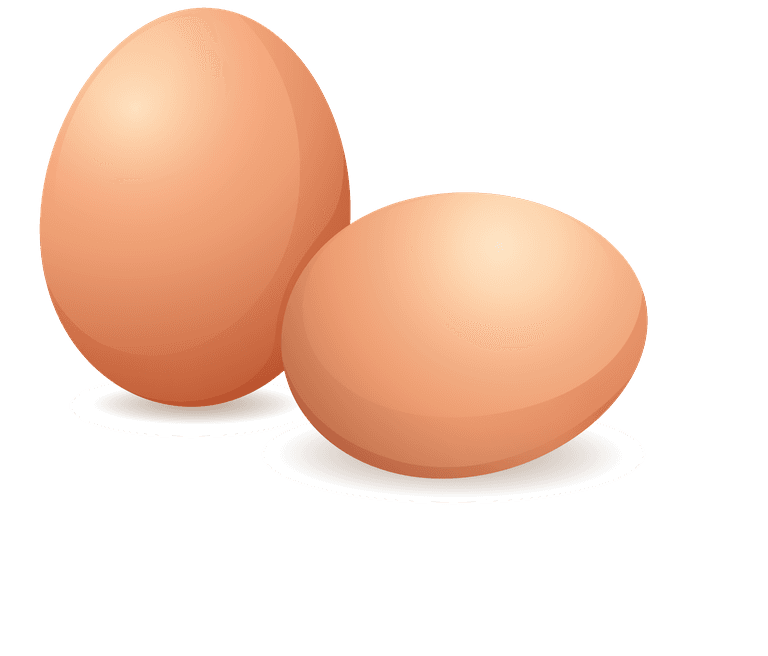 eggs eggs and fried chicken illustration