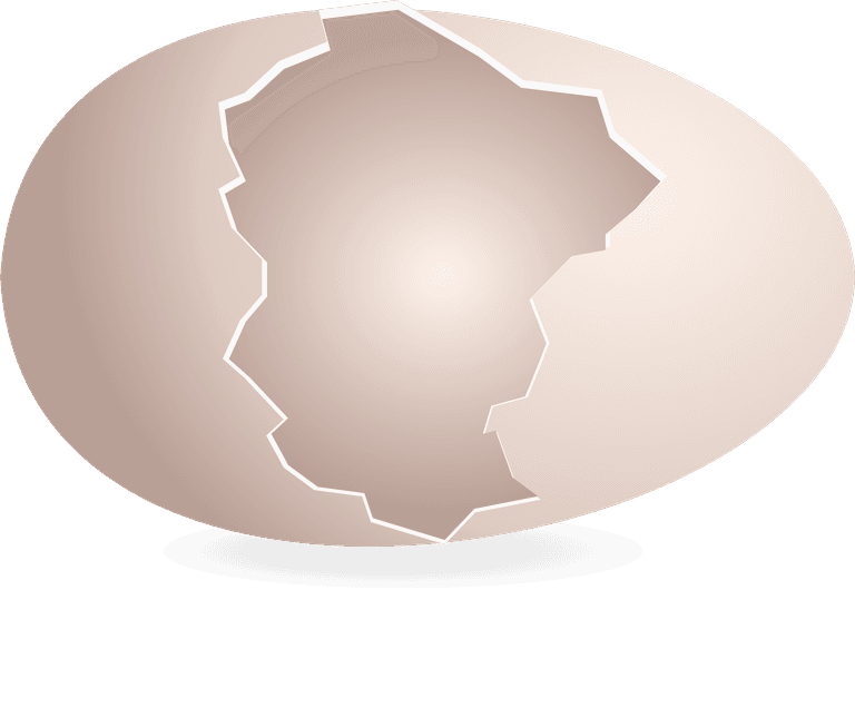 eggshell here is a very useful collection of broken egg shells that i am sure