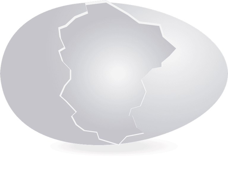 eggshell here is a very useful collection of broken egg shells that i am sure