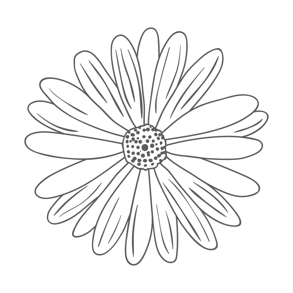 elegant hand drawn florals for invitations and cards