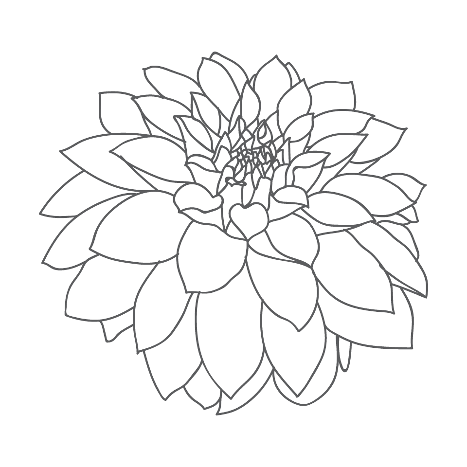 elegant hand drawn florals for invitations and cards