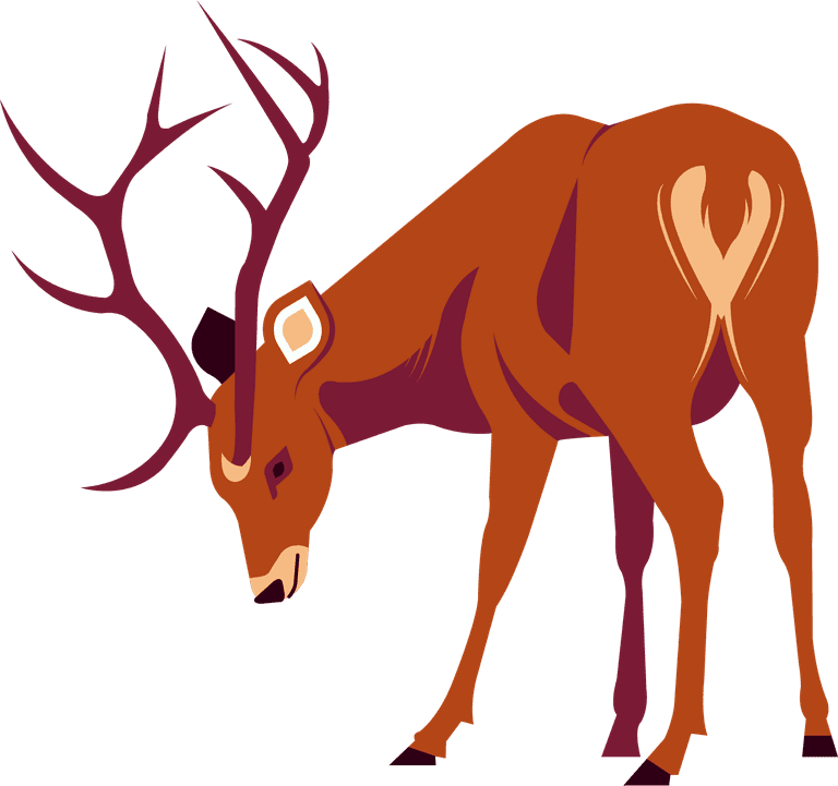 elk reindeer species icons colored cartoon sketch