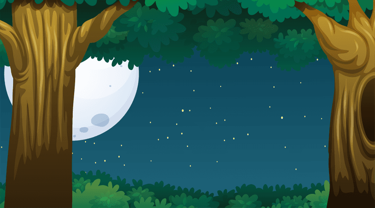 empty landscape nature scenes illustration set with woods at night