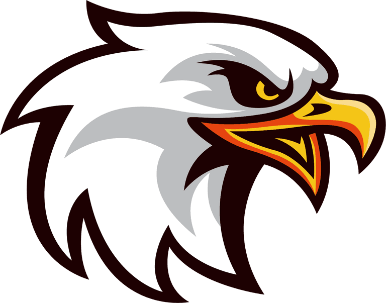 falcon head eagle logotypes heads sketch colored handdrawn 