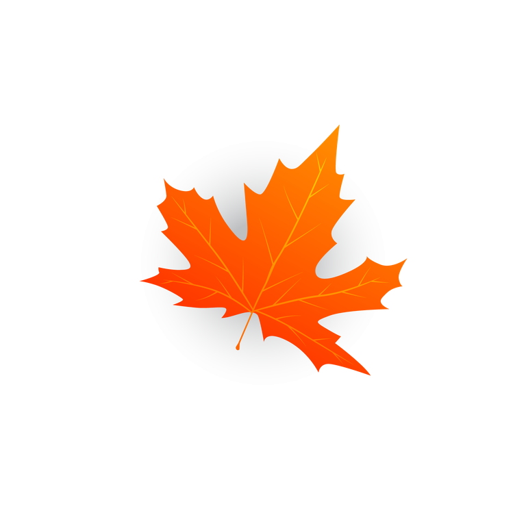 fall leaves icons orange modern shapes