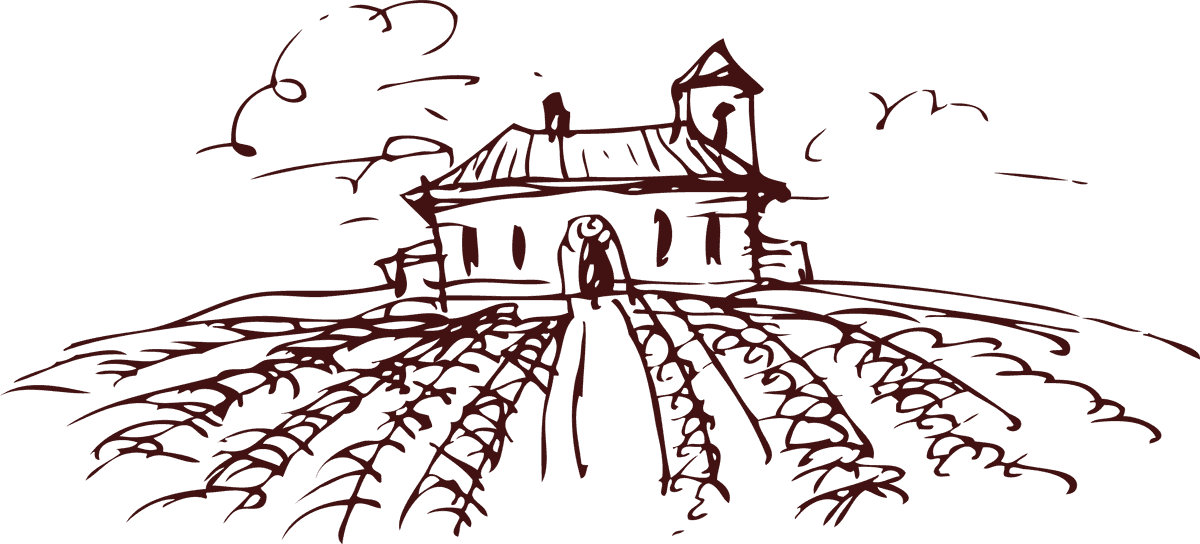 farm line drawing of wine vineyard landscape with charming rustic building and rows of grapes