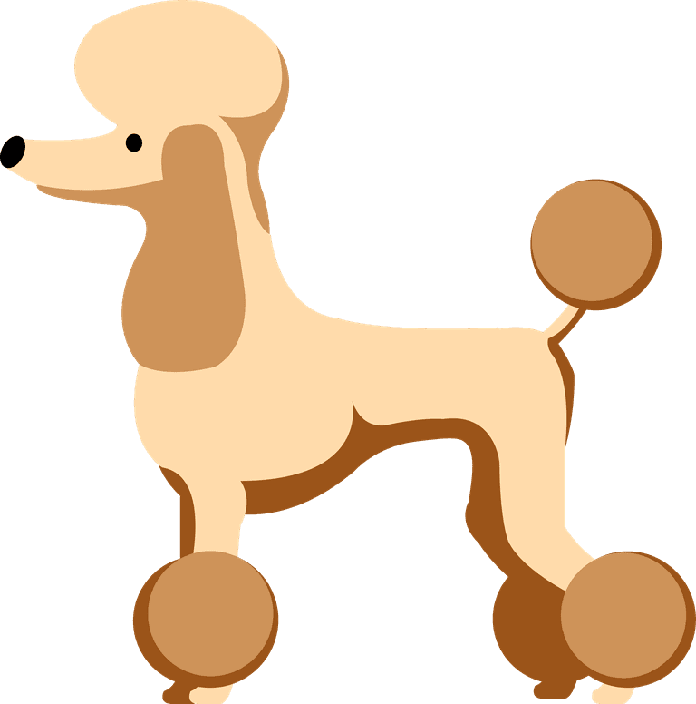 fashion dog poodle dog animation vivid lovely