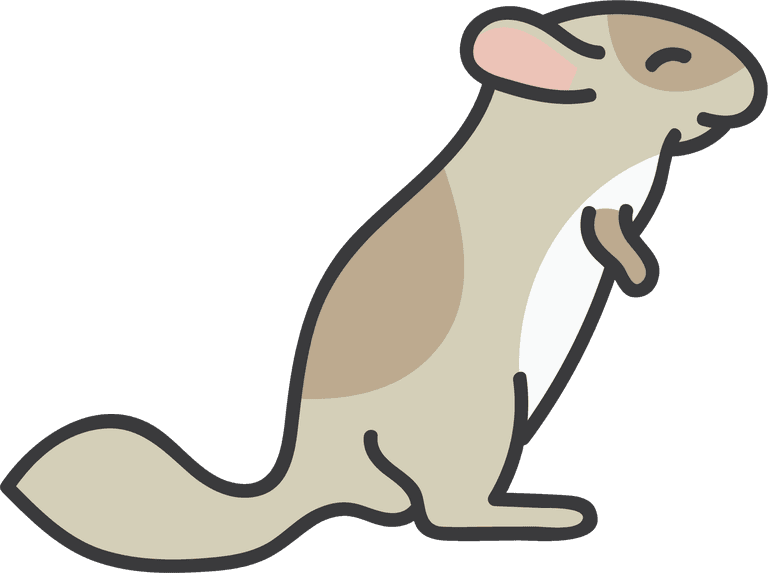 fat mouse chinchilla vector illustration perfect for playful pet-themed projects