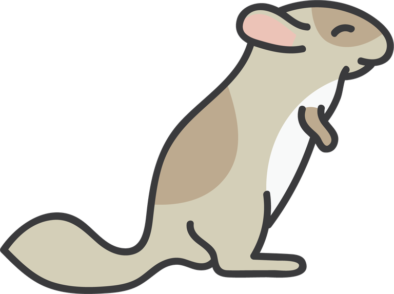 fat mouse chinchilla vector