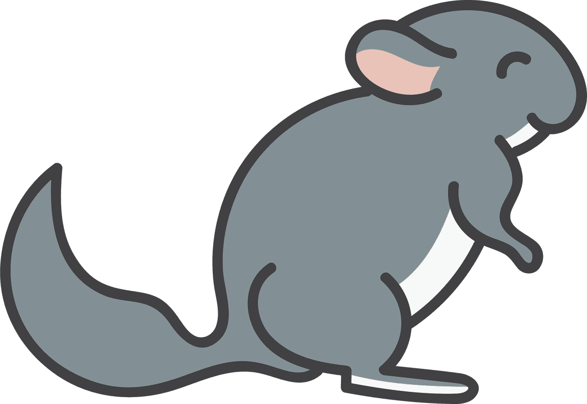 fat mouse chinchilla vector illustration perfect for kids' room decor and educational materials