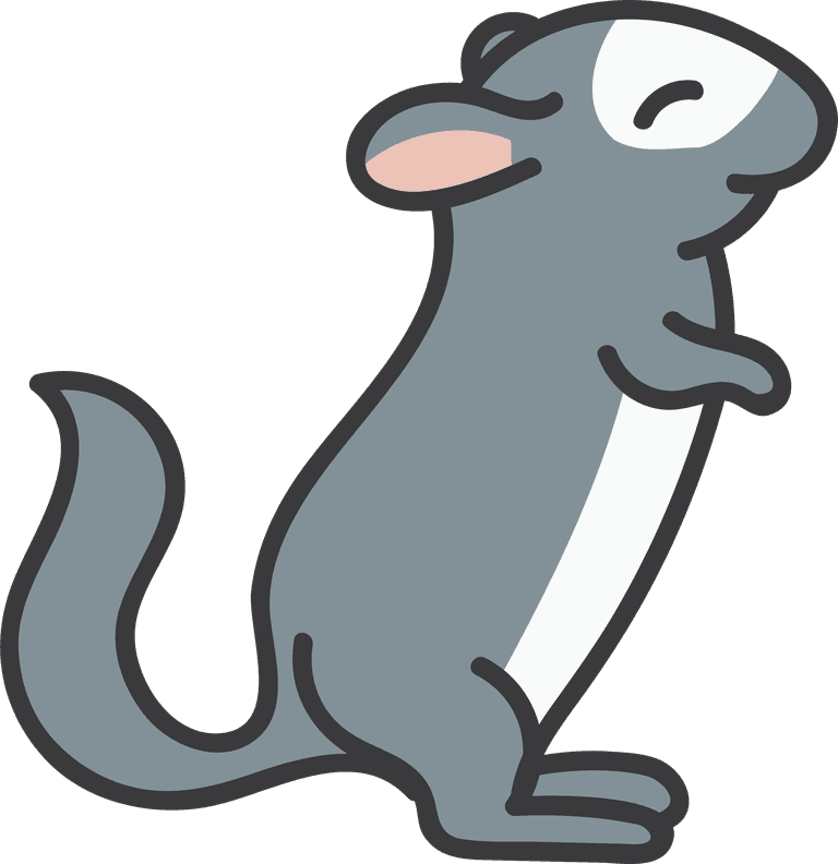 fat mouse chinchilla vector