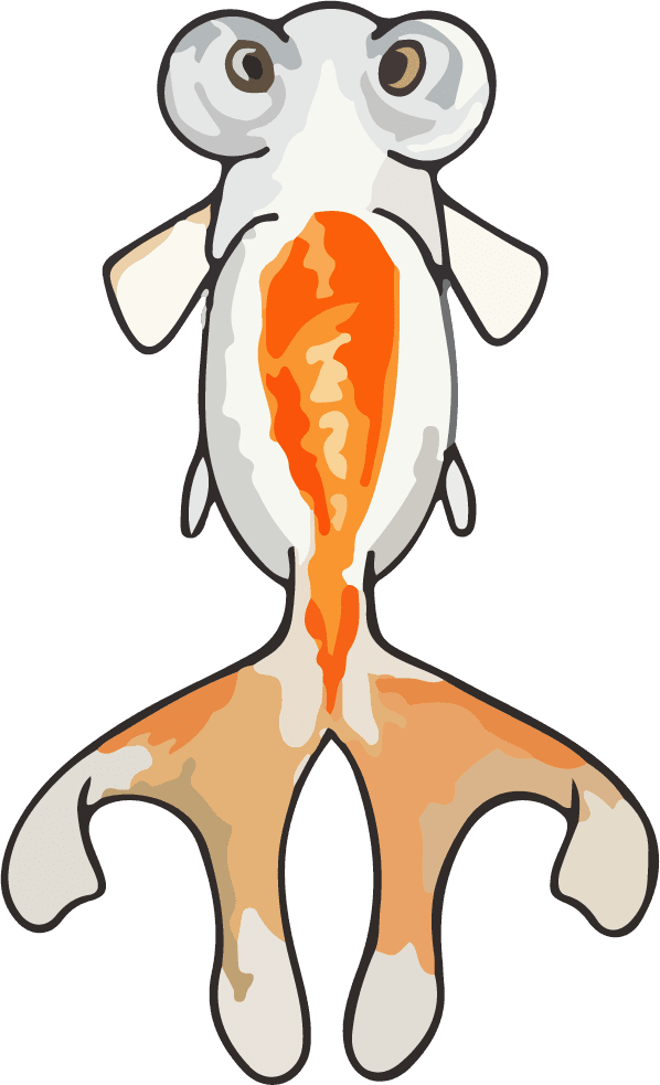 fish art watercolor colorful vector