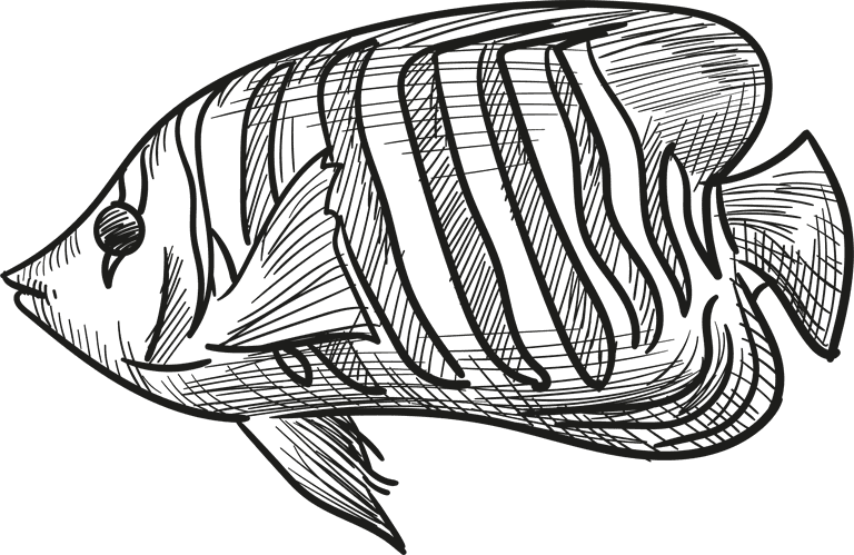 fish hand drawing nautical elements illustration collection
