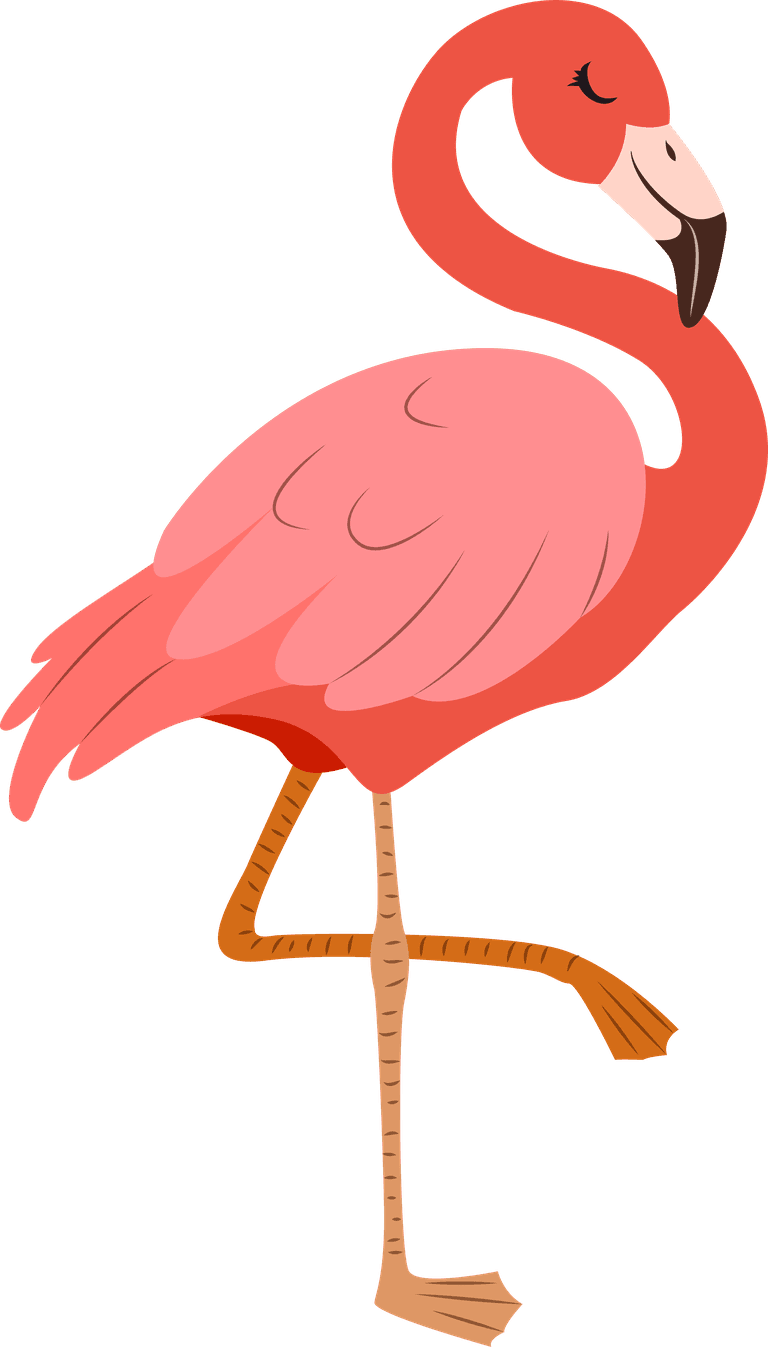 flamingo animals species icons colored cartoon sketch