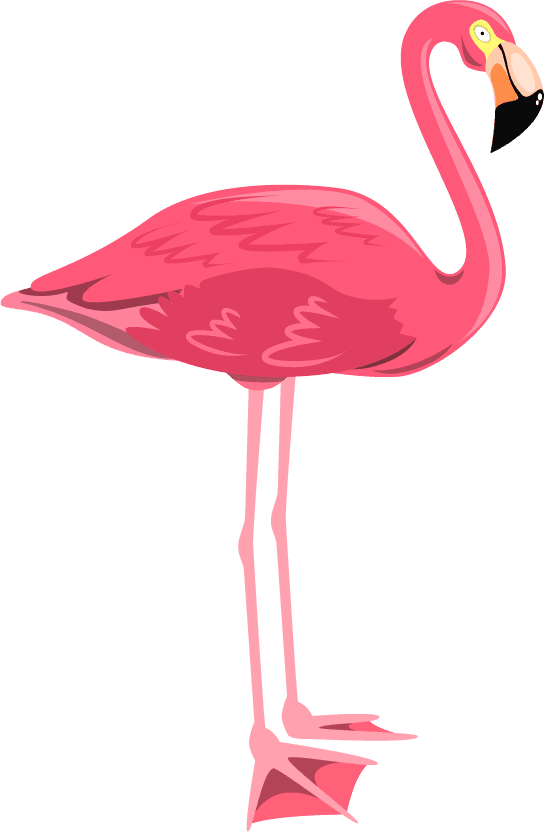 flamingo exotic birds set