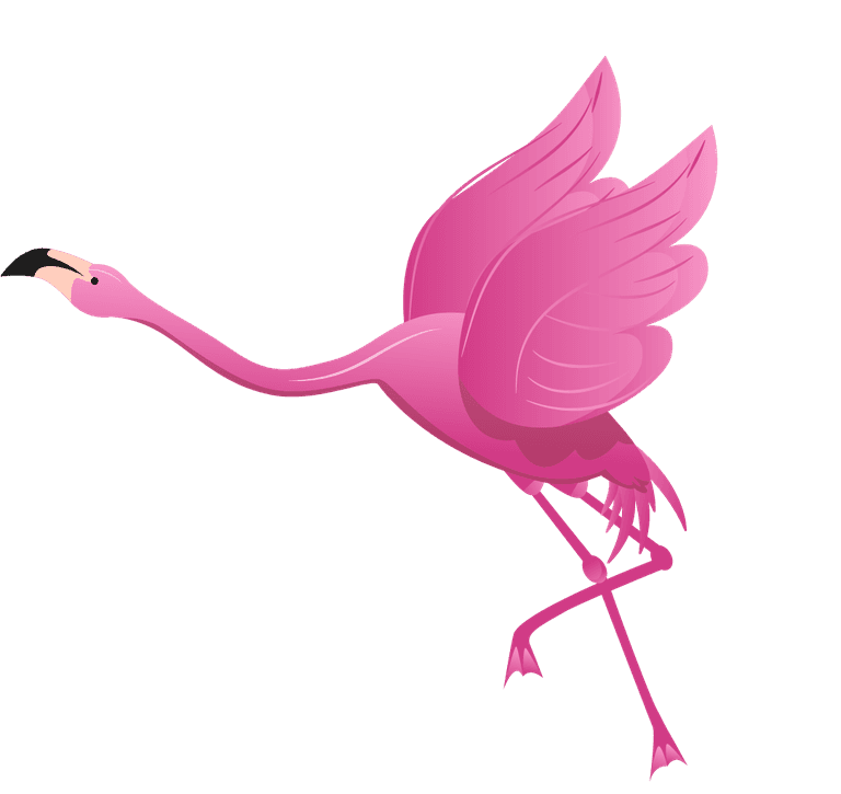 flamingo flamingo species icons colored flat sketch