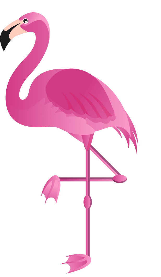 flamingo flamingo species icons colored flat sketch