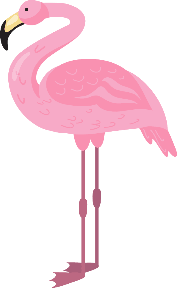 flamingo pink flamingo bird different poses flat set