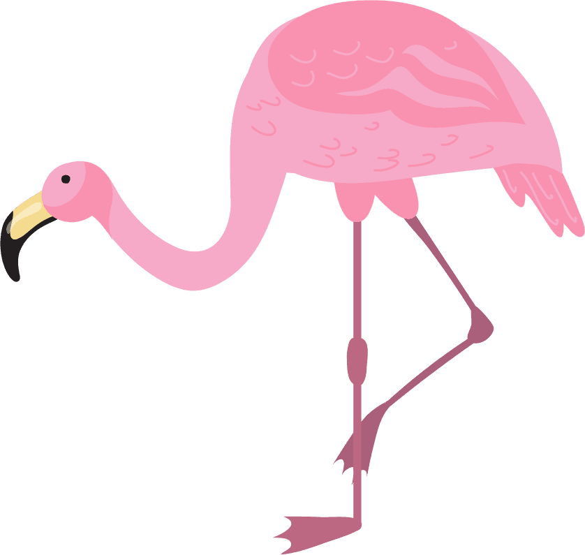 flamingo pink flamingo bird different poses flat set