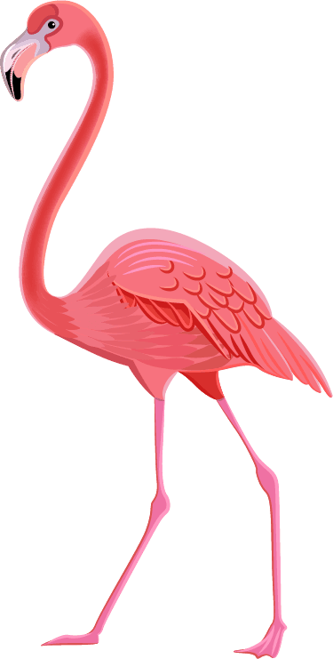 flamingo tropical birds plants pictograms set
