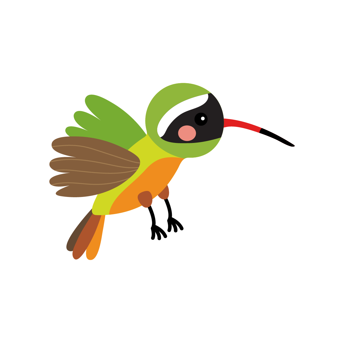 Flat colored tropical birds illustration