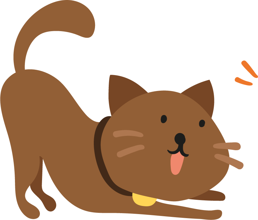 flat cute colorful cats illustration