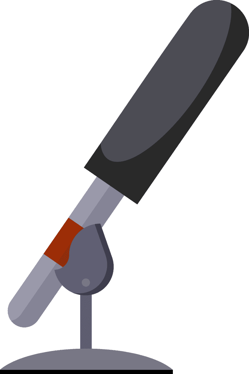 flat professional microphones illustration for modern audio production and streaming applications