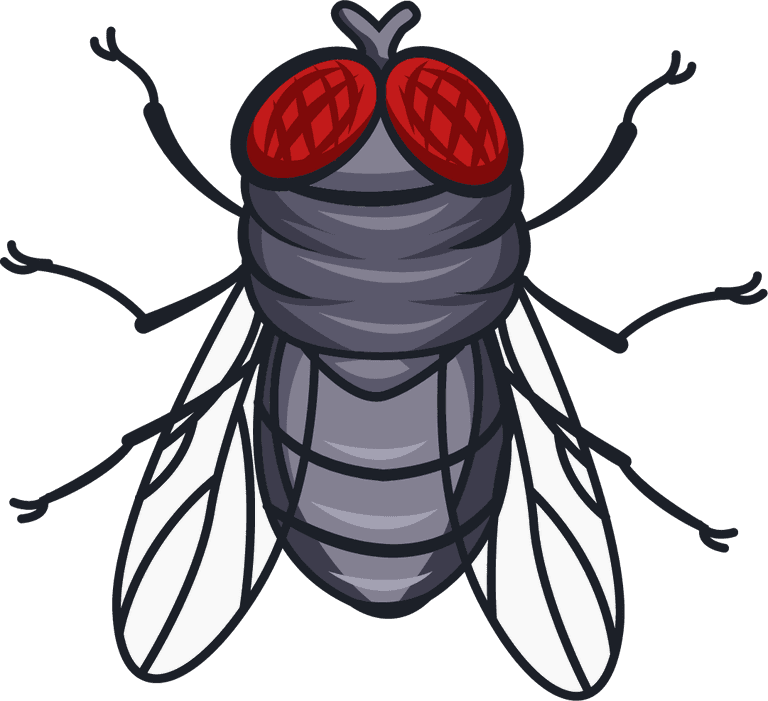 flies fly species icons handdrawn cartoon sketch