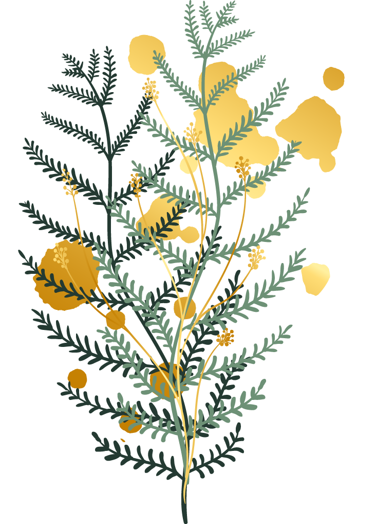 flora leaves icons colored classic sketch