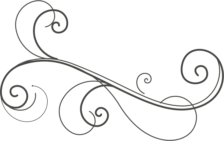 floral decorative ornaments set design with elegant lines and swirling patterns for projects