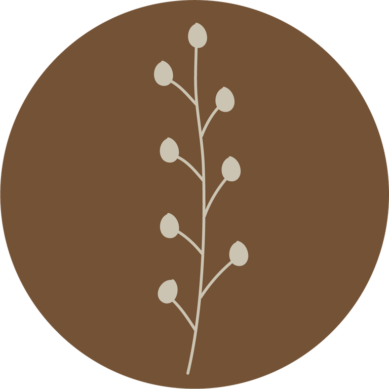 floral icons for social media stories